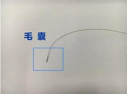 想做個人親子鑒定，頭發(fā)可以鑒定嗎？