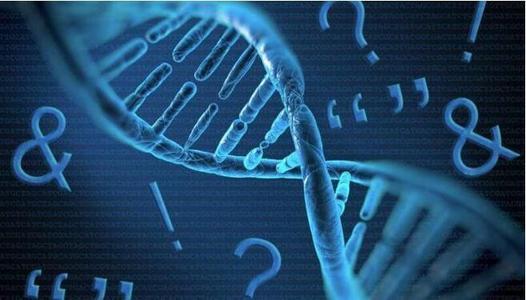 上戶口親子鑒定流程有那些呢？